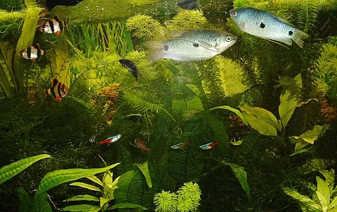 Zoo und Aquaristik